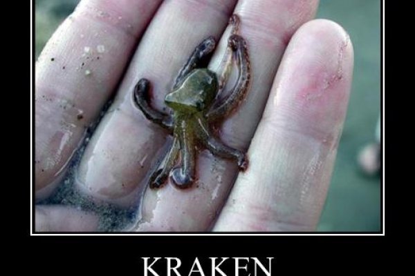 Kraken https что это