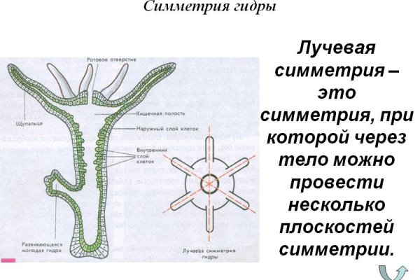 Кракен даркнет krawebes