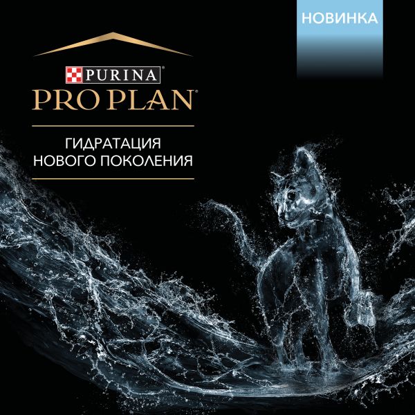 Кракен at